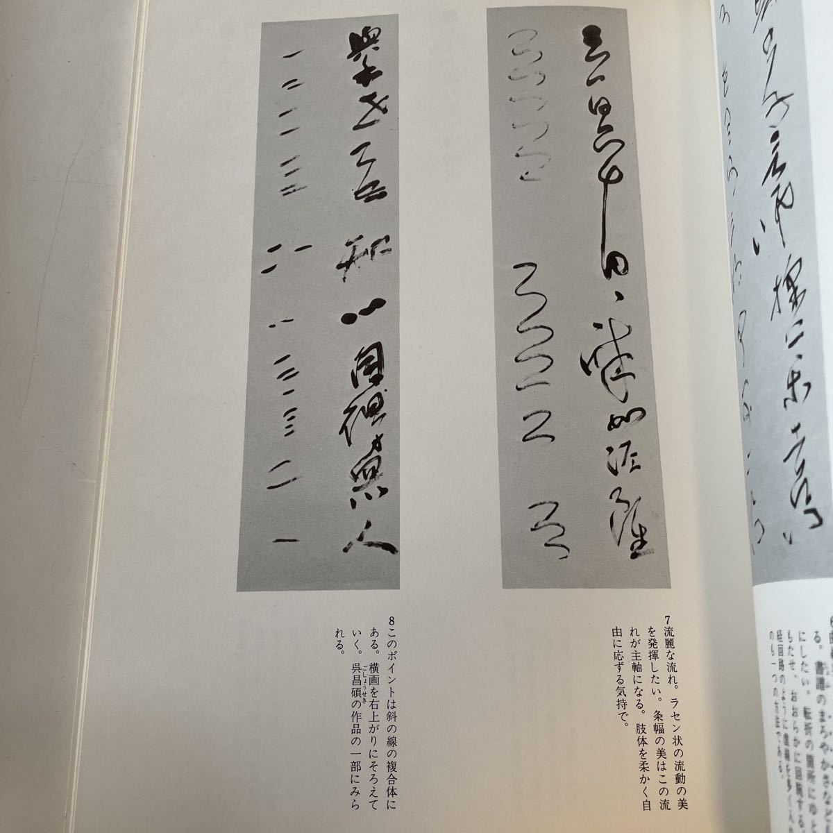 扁額 色紙 短冊 扇面 茶掛 条幅 書き方シリーズ 3冊 【公式通販】