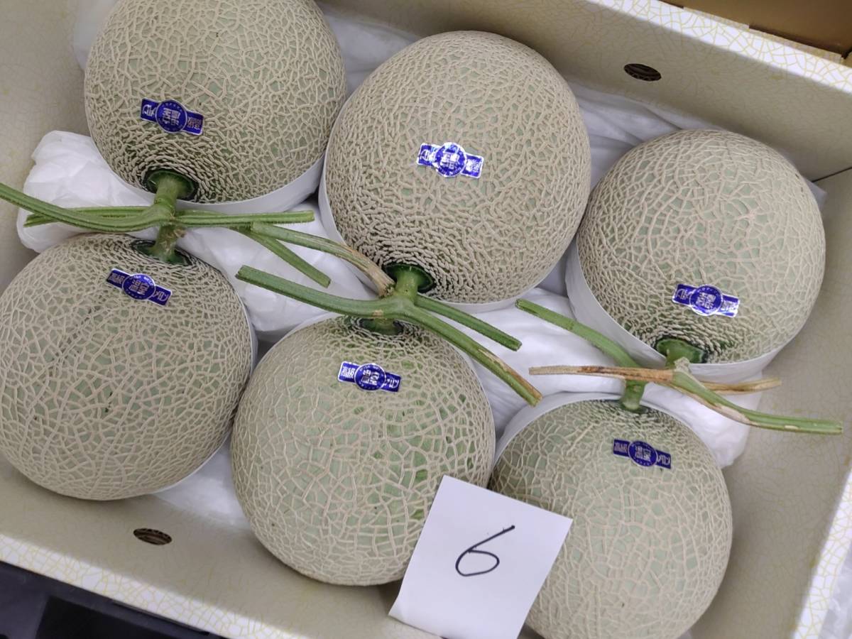 ♪送料無料 6温室マスクメロン高知産6玉入り 約9.0kg 家庭