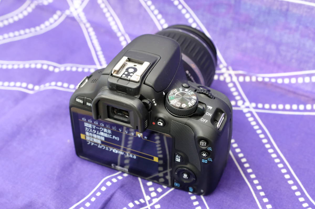 美品】キヤノン EOS Kiss X7 EF-S 18-55mm F3.5-5.6 Ⅱ USM Kit