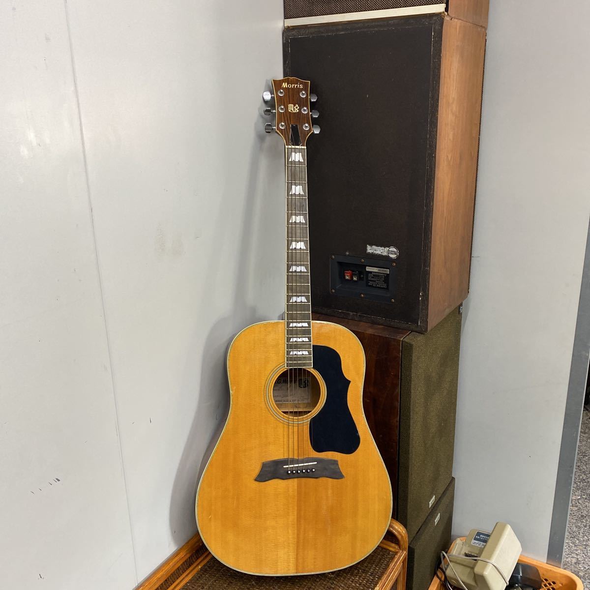 MG-50 モーリス MORRIS Morris アコースティックギター 