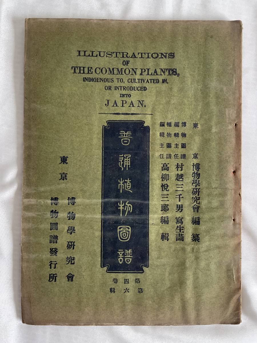 日本植物学の父・牧野富太郎指導「普通植物図譜」彩色石版画 第4巻第6