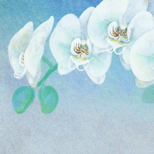 真作】【WISH】川島睦郎「胡蝶蘭」日本画 SM 共シール 〇花鳥画巨匠 日