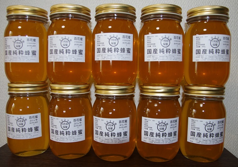 蜂蜜23-08 国産(金沢産)ハチミツ10本(580g/本)：2023年6月末（ユリノキ）採蜜＆７月初旬（トウネズミモチ）採蜜：非加熱／非加工／無添加