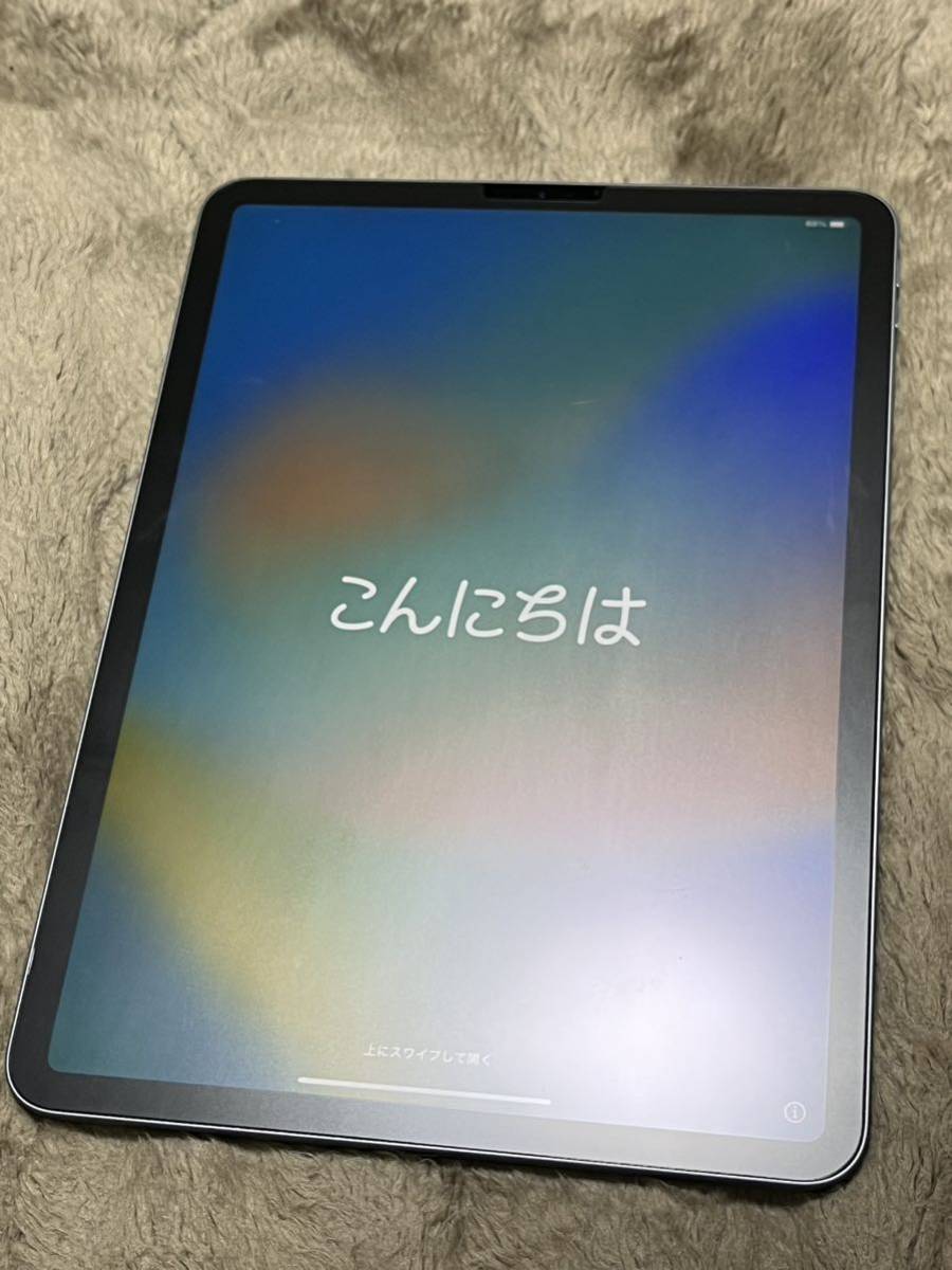 Apple iPadPro11インチ第二世代 256GB iPad Pro Apple Pro11インチ第1