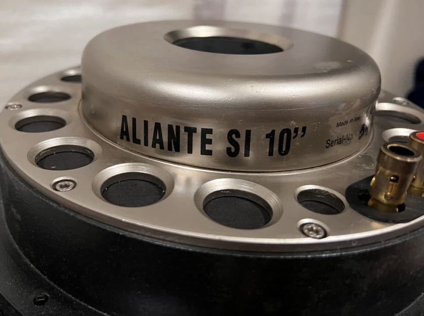PHASE EVOLUTION ALIANTE SI 10” フェイズリニア アリアンテ サブ