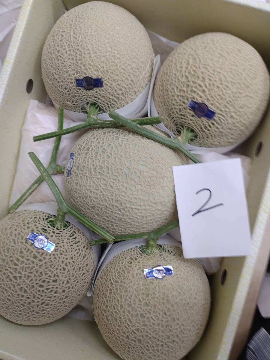 ♪送料無料 2温室マスクメロン高知産5玉入り 約9.2kg このメロン