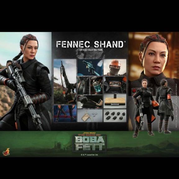 ホットトイズ 1/6 テレビ・マスターピース フェネック・シャンド