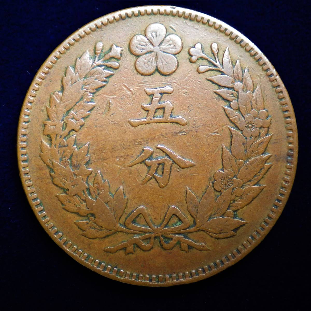 朝鮮 5分銅貨 大朝鮮大字 開国505年 1896年 古銭 朝鮮貨幣 在外貨幣