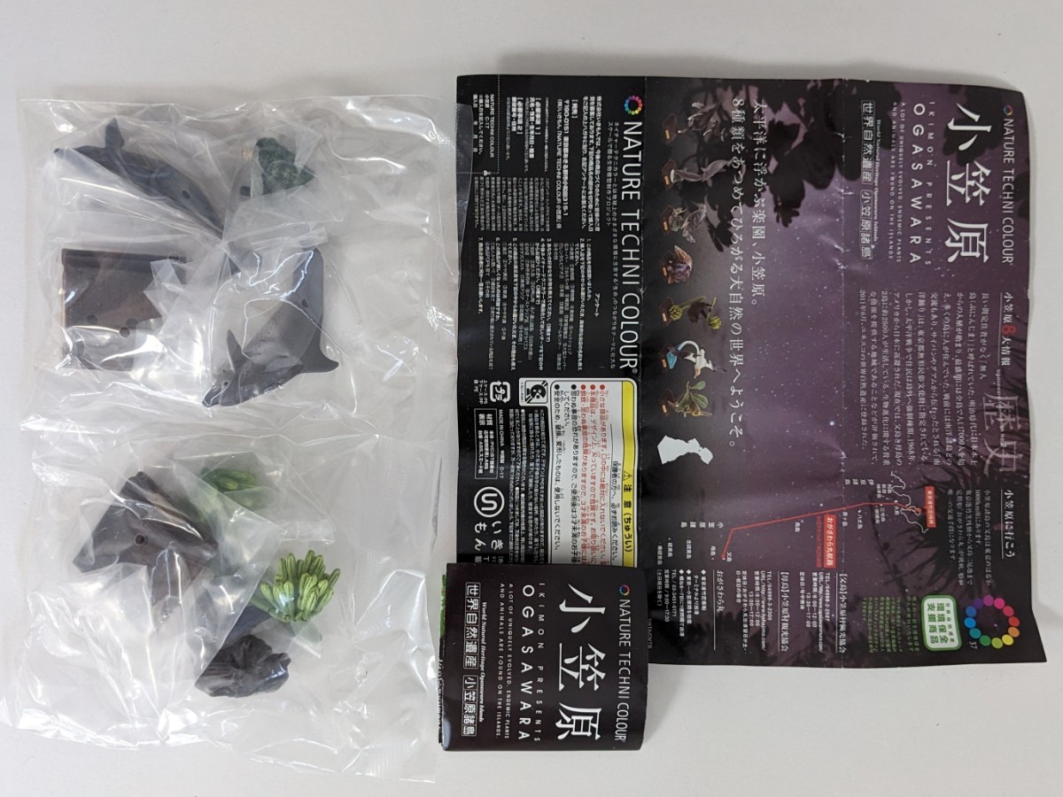 ネイチャーテクニカラー 小笠原 2種セット 奇譚クラブ ガチャガチャ いきもん カプセル_1