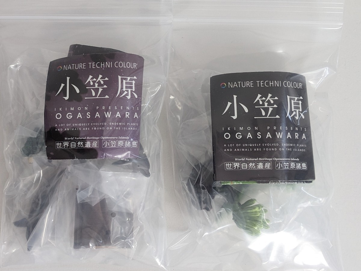 ネイチャーテクニカラー 小笠原 2種セット 奇譚クラブ ガチャガチャ いきもん カプセル_2
