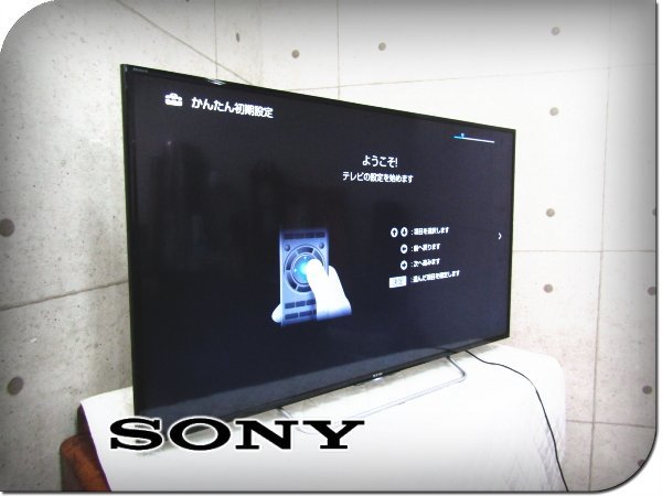SONY/ソニー/BRAVIA/ブラビア/48V型/地上・BS・110度CSデジタル