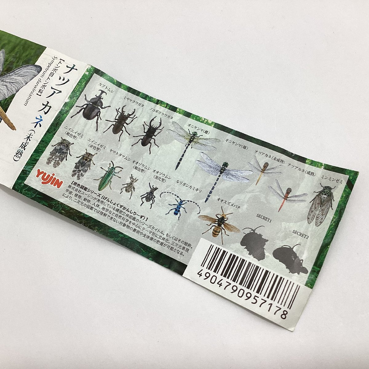 ユージン 原色日本昆虫図鑑Ⅰ 改訂増補版 7種 ミニブック付き ミンミンゼミ ヤマトタマムシ ナツアカネ 未成熟 ニイニイゼミ 赤色型 等の入札履歴  - 入札者の順位 Yujin ユージン 原色日本昆虫図鑑Ⅰ ミンミンゼミ