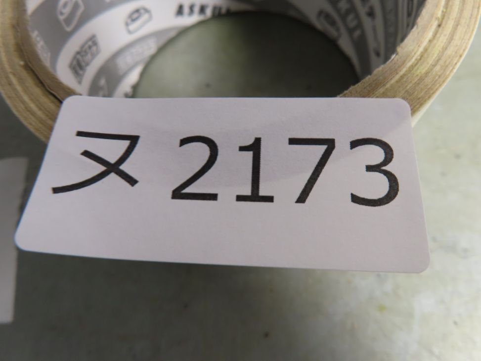 ヌ2173 「塊根植物」パキポディウム グラキリス S～MS 抜き苗【最新