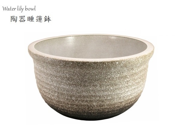 睡蓮鉢　大② 引取り限定　メダカ　金魚　淡水魚に 睡蓮鉢 大② 引取り限定 メダカ 金魚 淡水魚に