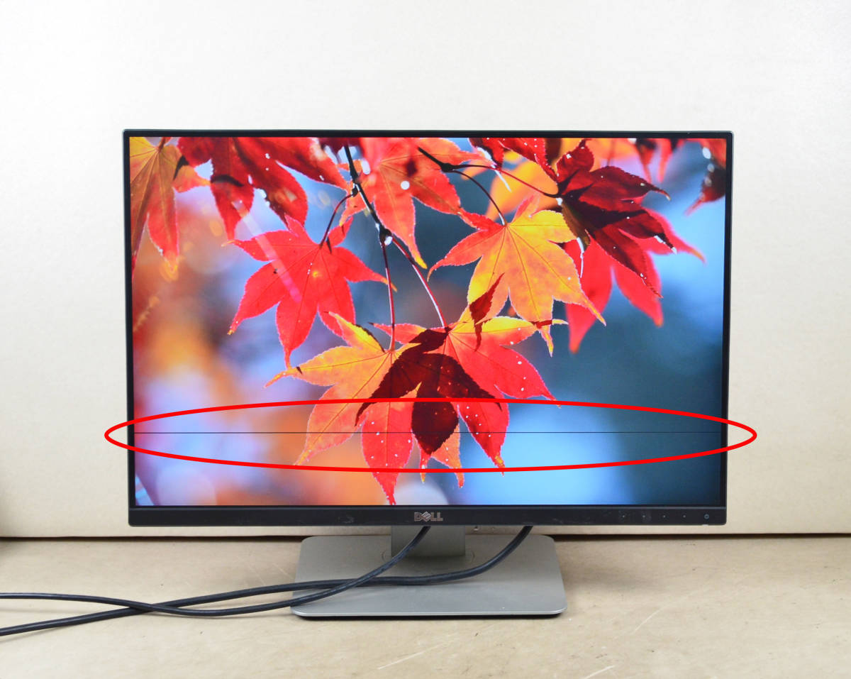 24.5インチ IPSパネル 超美品です おまけつき 3761 超狭額ベゼル DELL