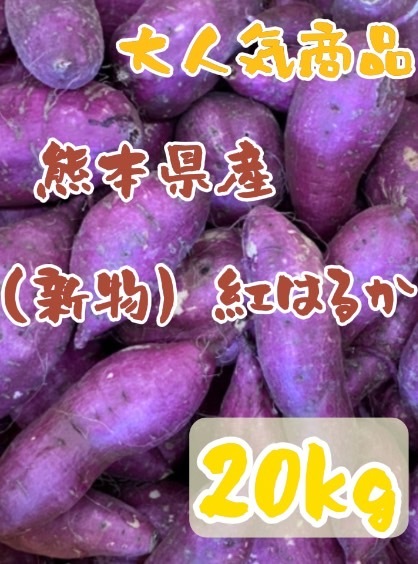食品 べにはるか 20キロ 熊本県産