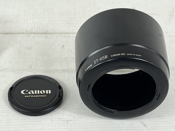 Canon ZOOM EF 70-300mm 1:4-5.6 IS USM ULTRASONIC Macro1.5m/4.9ft