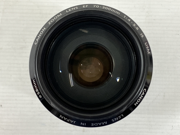 Canon ZOOM EF 70-300mm 1:4-5.6 IS USM ULTRASONIC Macro1.5m/4.9ft