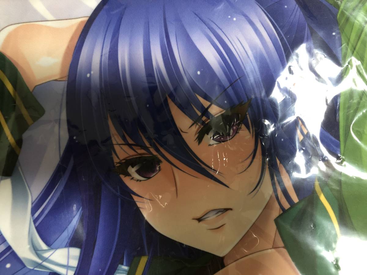 Lilith 対魔忍 秋山凛子 抱き枕カバー 衣装違いver. 葵渚(抱き枕  