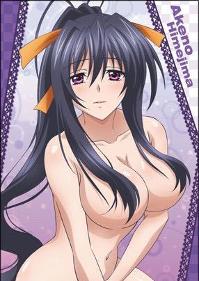 新品　ハイスクール D×D BorN 二次元コスパ 限定 ビッグタオル 姫島朱乃 バスタオル プレミアム