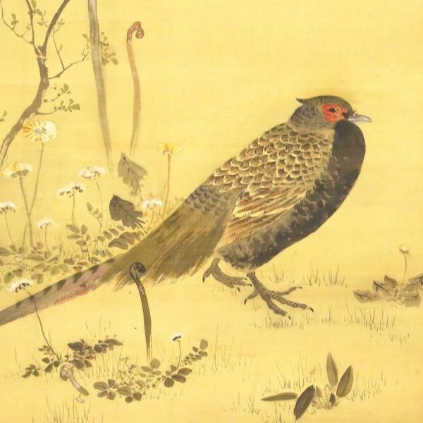 真作】【WISH】渡辺省亭 日本画 掛軸 絹本 ◇雉・花鳥名幅 〇花鳥画
