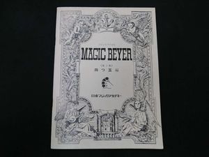 ​【非売品・未使用】クイズマジックアカデミー 輝望の刻 装飾パネル（手順書付） 非売品・未使用】クイズマジックアカデミー 輝望の刻 装飾パネル（手順