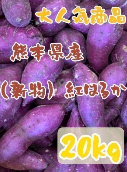 熊本県産 大津 さつまいも 紅はるか 20キロ 紅はるか 20kg 熊本県産 即納