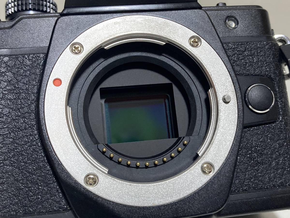 OLYMPUS OM-D E-M10 Mark II ボディ ミラーレス一眼カメラ デジタル 