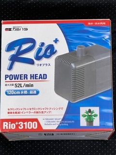 Rio+ 3100 ポンプ 52L/min カミハタ Rio+3100 60Hz リオプラス 水中