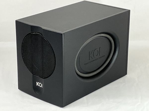 KOI Tiger Type 2a 2.1ch パワーアンプ パワードスピーカーシステム