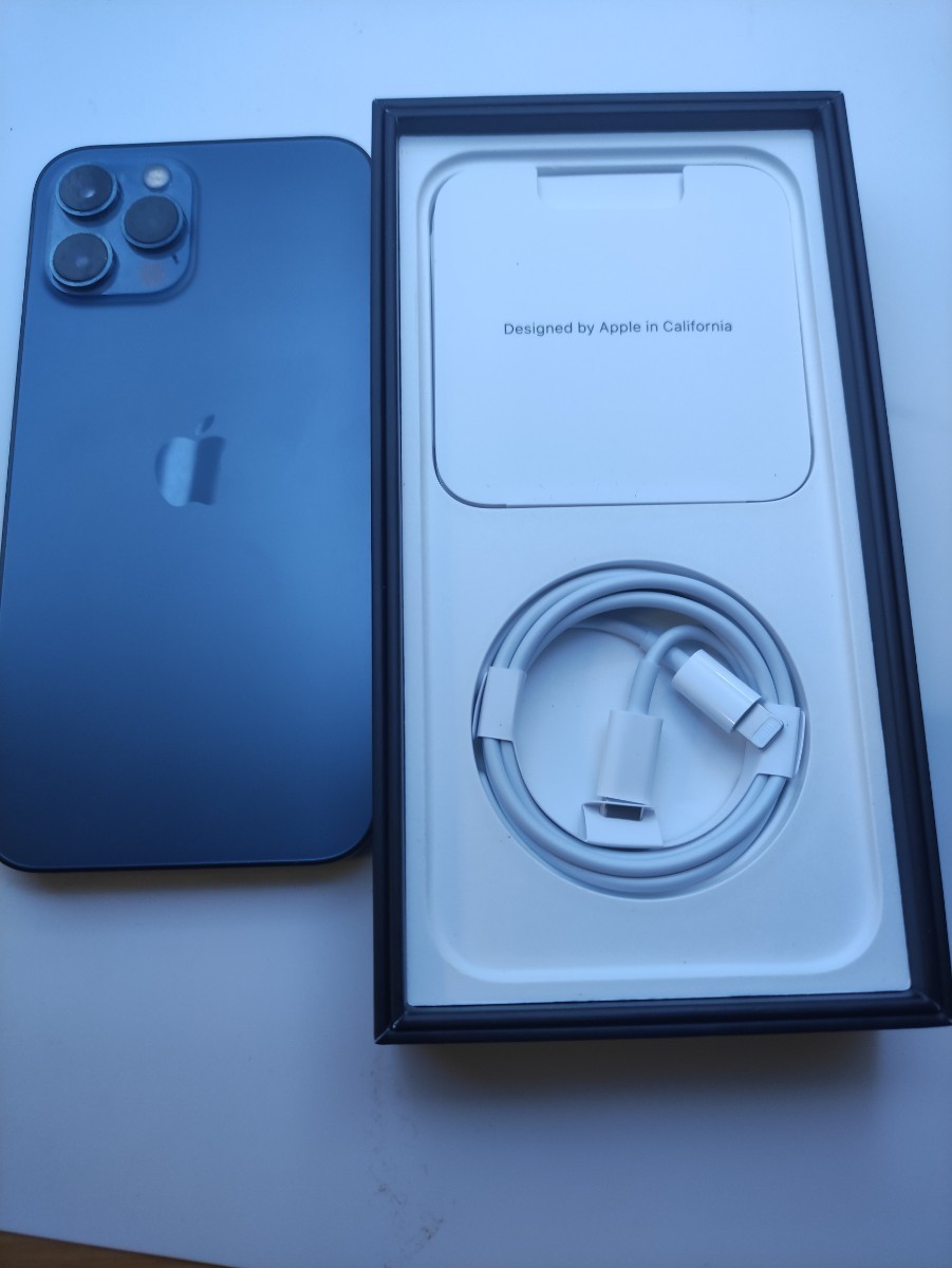 Apple iPhone 12 Pro 256GB 本体 ジャンク iPhone12 pro max 256GB ジャンク 家電、AV、カメラ 携帯電話