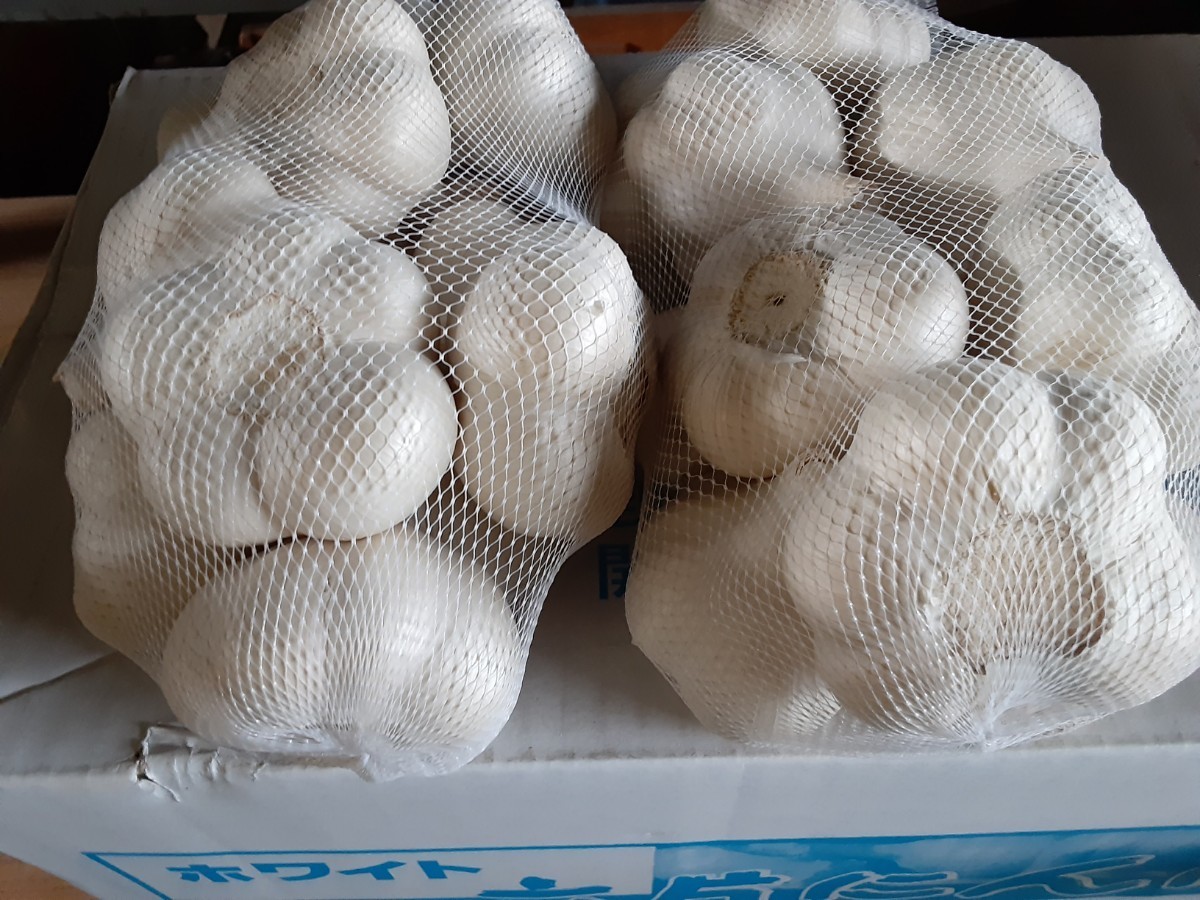 令和7年 青森県 生にんにく10Kg S. S S 【公式通販】