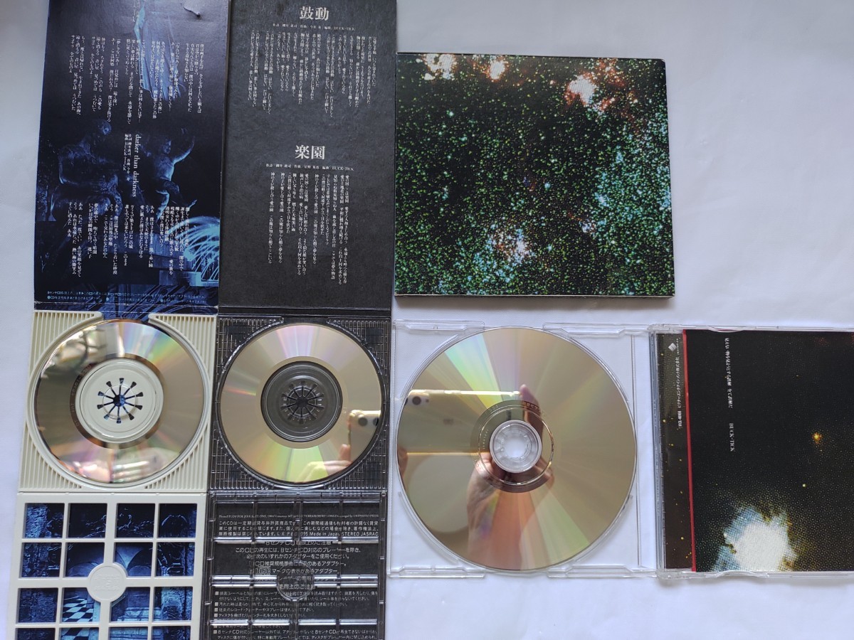◯V系 BUCK-TICK 12枚 セット バクチク シングル アルバム 櫻井 櫻井