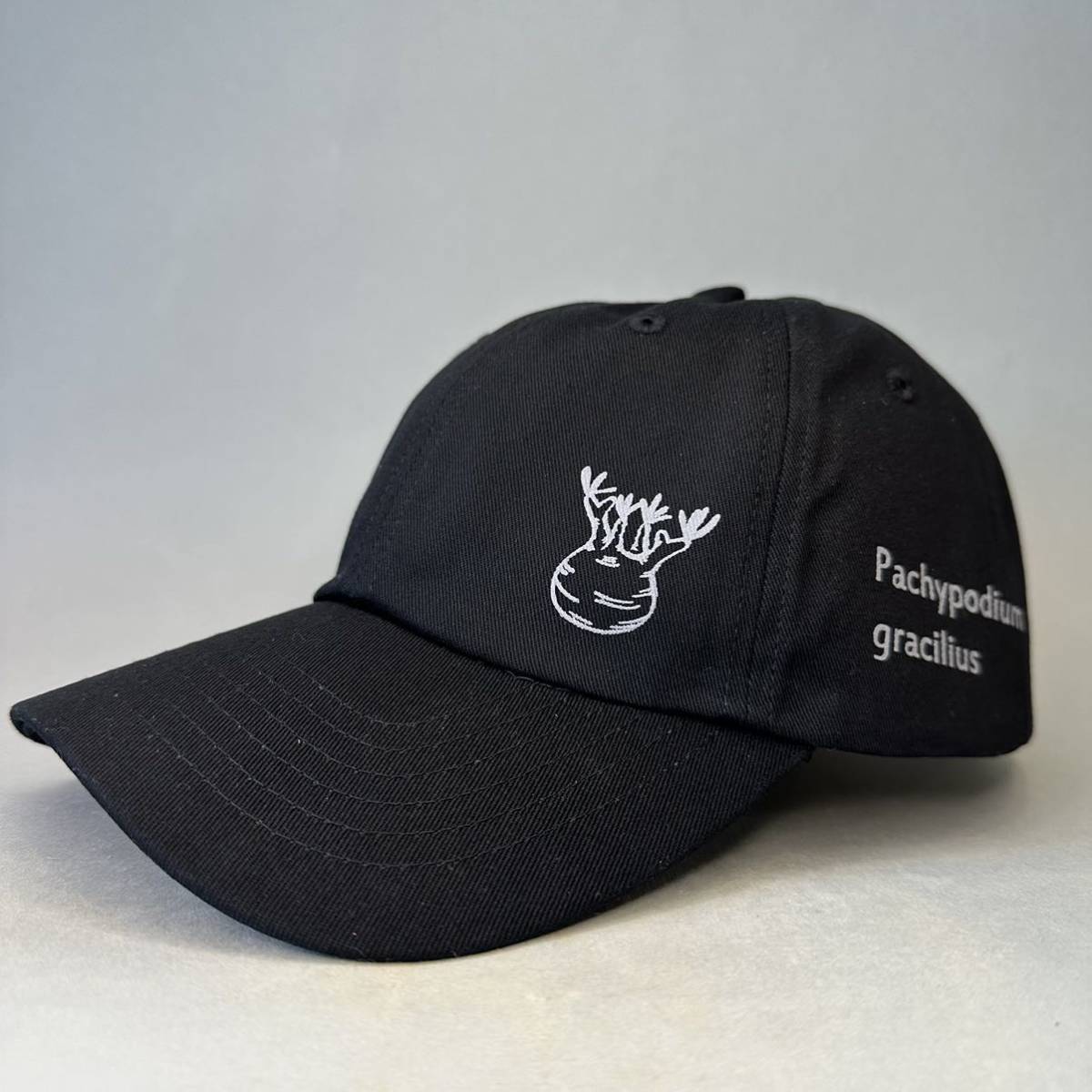 *新品* キャップ 帽子 パキポディウム グラキリス Pachypodium gracilius イベント プレゼント 男女兼用 アガベ ビカクシダ 