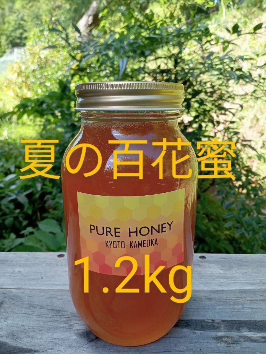 国産 国産 純粋 蜂蜜 生はちみつ 1.2kg2本 合計2.4kg 蜂蜜（日本蜜蜂）2kg