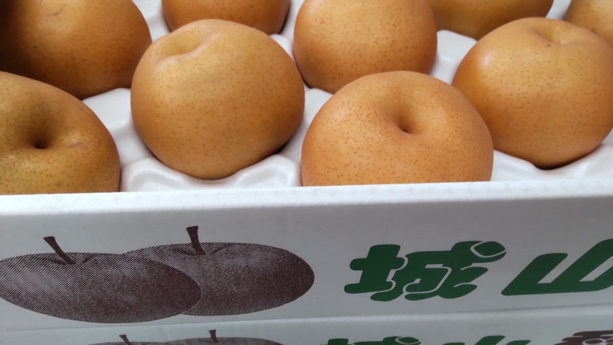 7-11玉5キロ満杯　愛宕梨　美味しい！！！