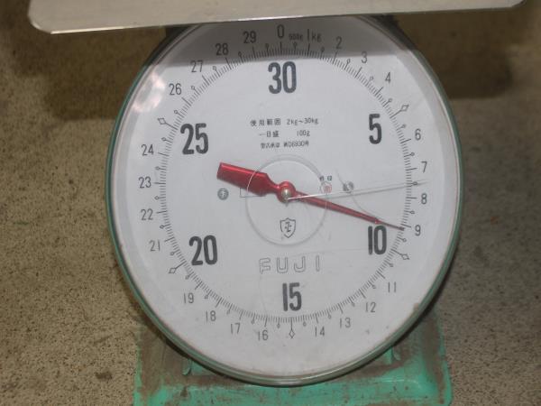 11072 外貨 世界の硬貨 約9kg まとめ売り 現状品 貨幣 | まとめ 約9kg