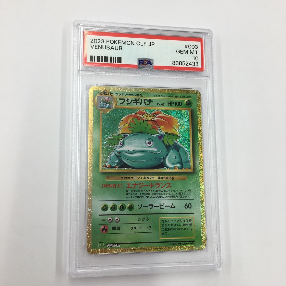 MTG/デルレイッチ/Delraich/MMQ/日本語/Foil Yahoo!オークション - MTG