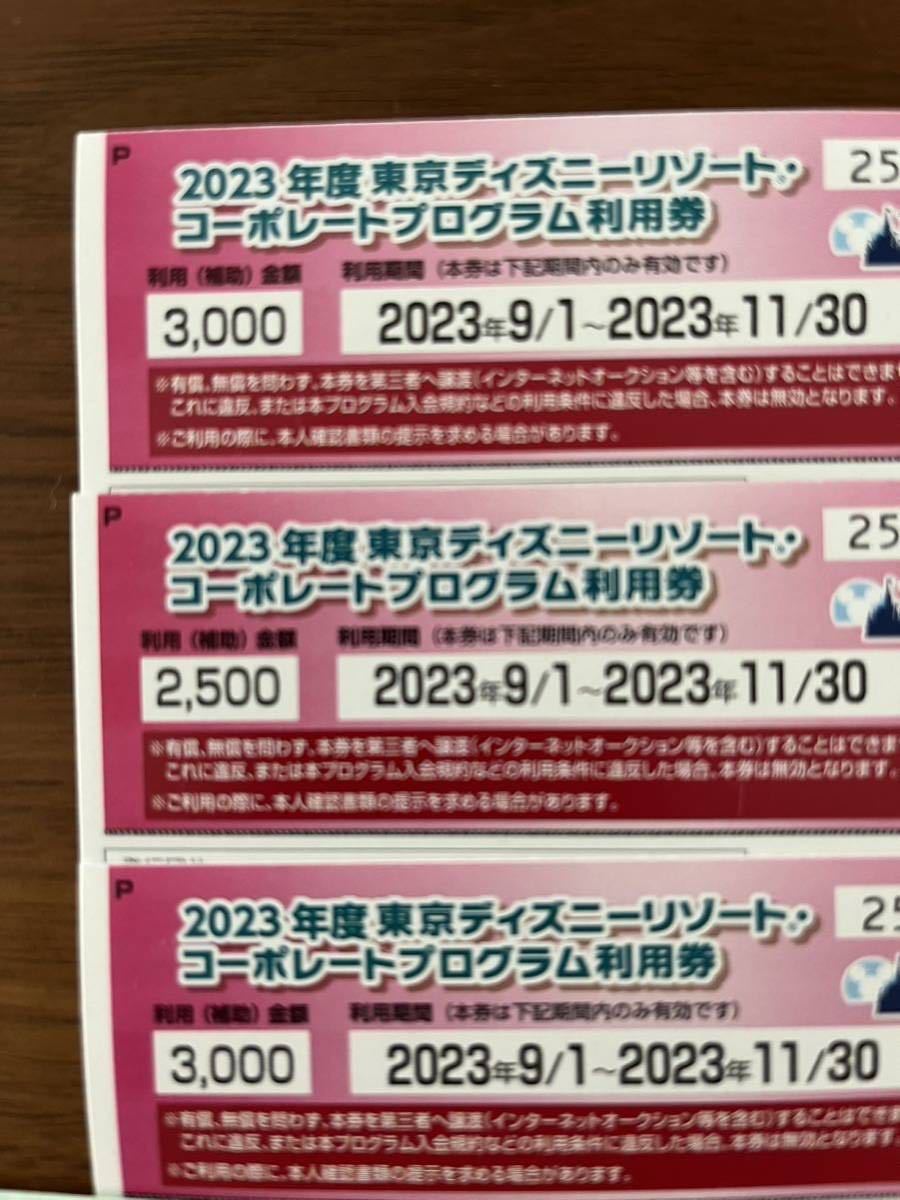 てディズニー コーポレート 券 