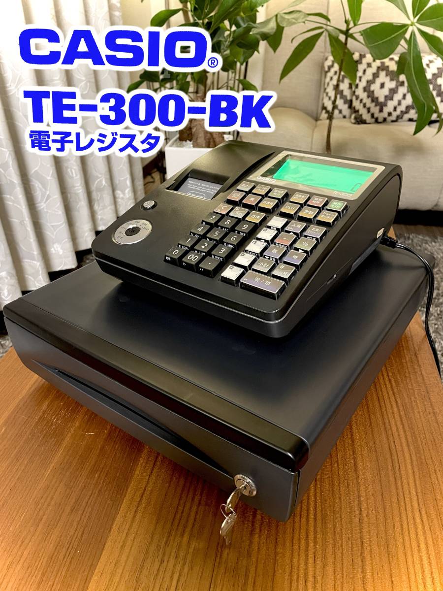 CASIO TE-300 レジスタ 黒色 【公式通販】