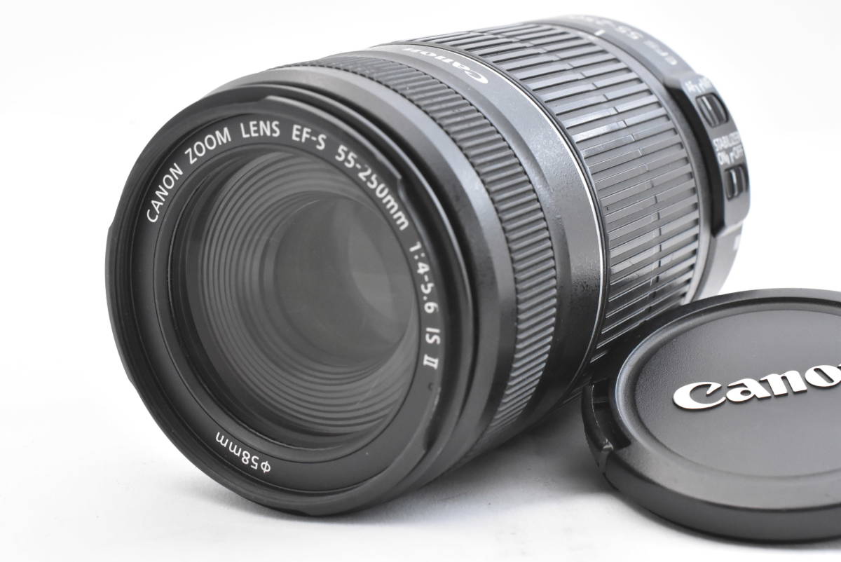 Nikon Micro-NIKKOR 55mm F2.8 単焦点 ニコン ニッコール マイクロ