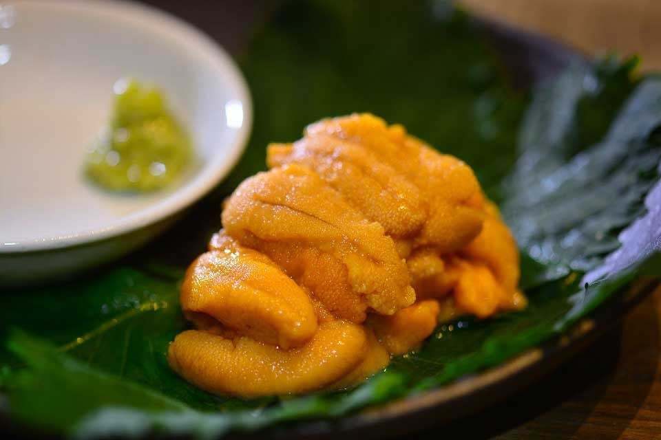 北海道産　バフンウニ（100g）_1