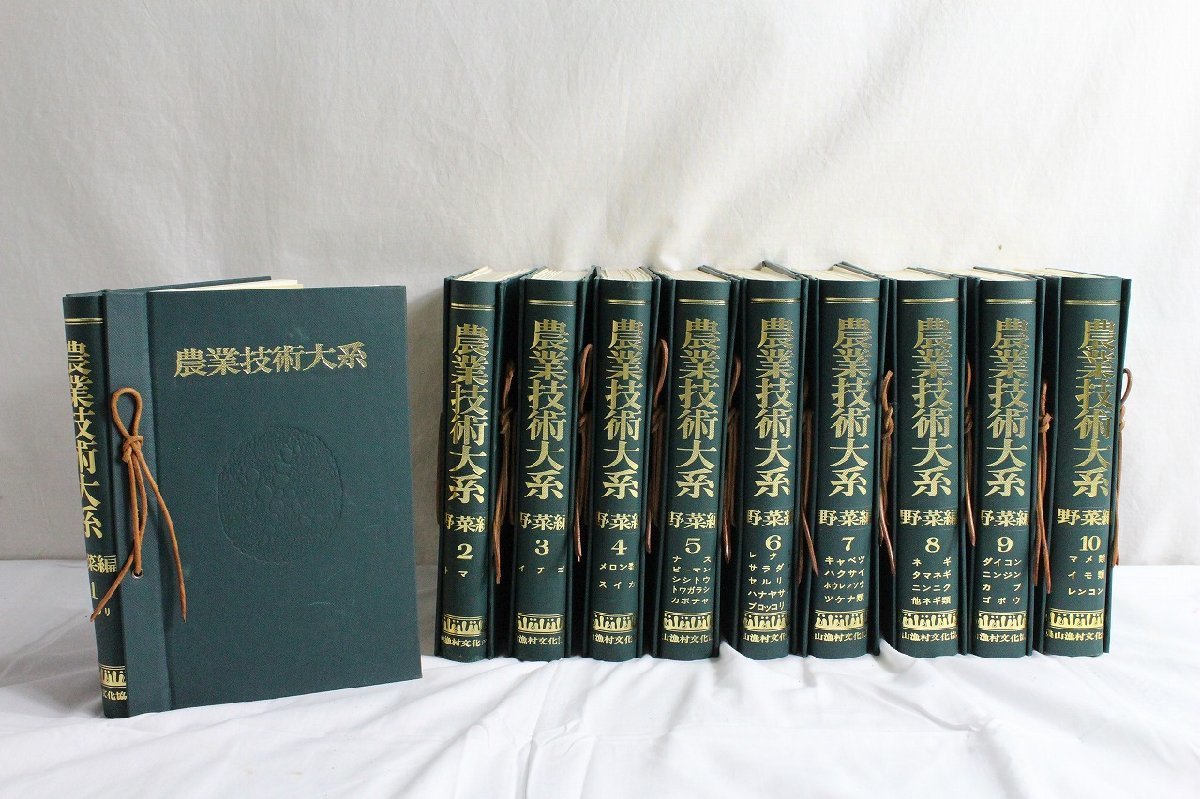 1jP12110E】☆農業技術体系☆野菜編☆全10巻☆10点まとめ☆山漁村文化 