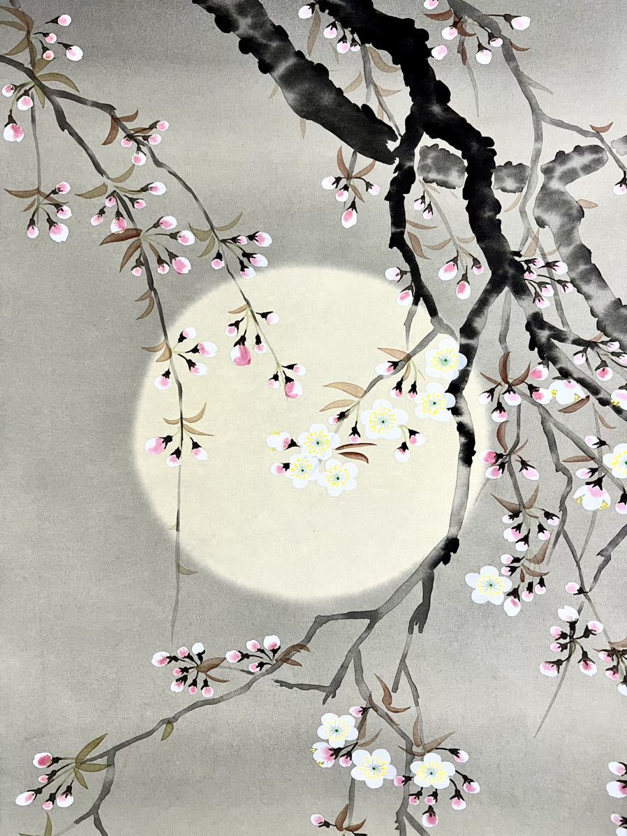 真作] [絵画] 卓泉「夜桜」絹本 肉筆 共箱 春景 花鳥図 風月 さくら