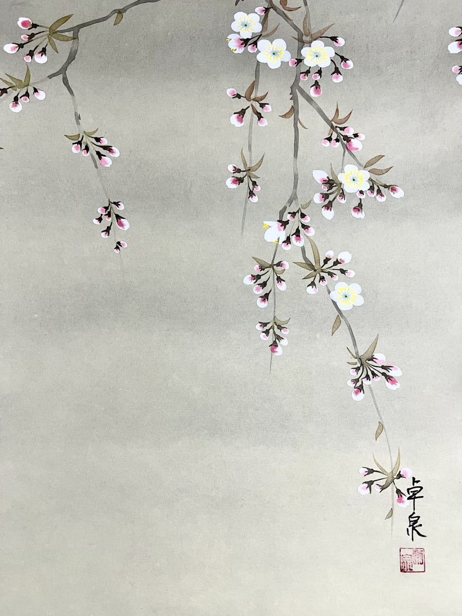 真作] [絵画] 卓泉「夜桜」絹本 肉筆 共箱 春景 花鳥図 風月 さくら