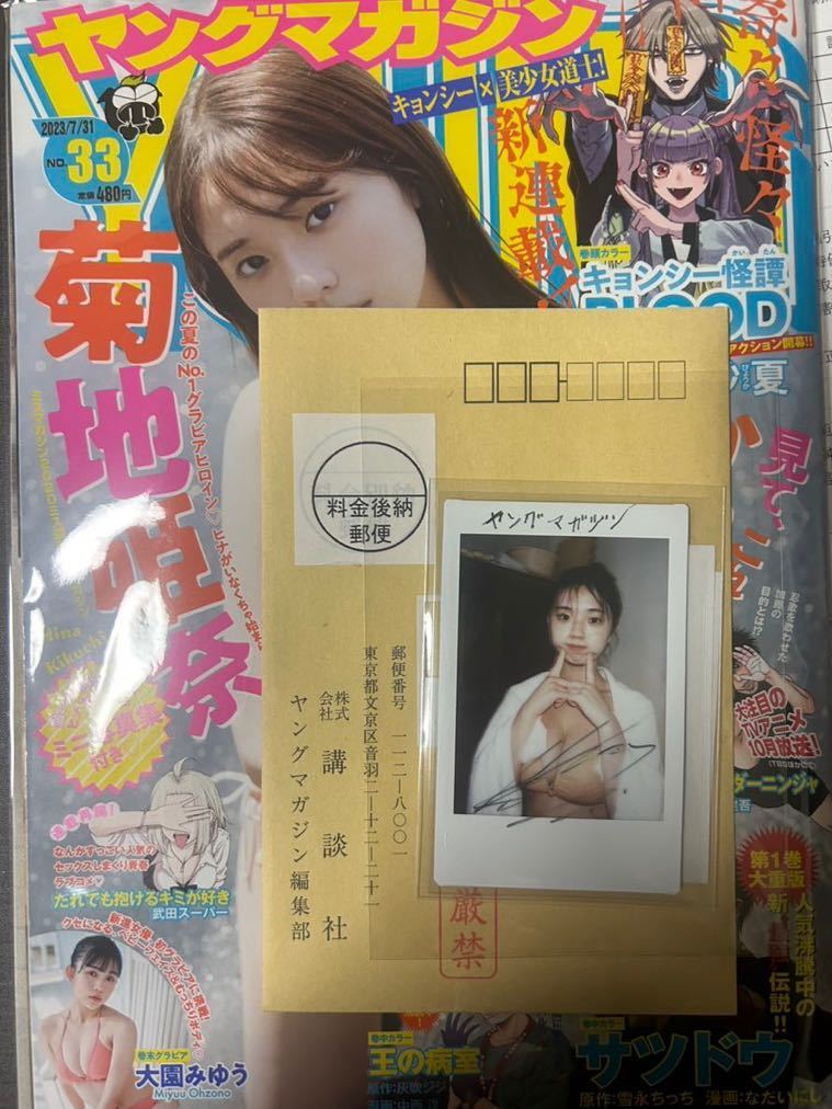 ヤングマガジン 当選品 菊地姫奈 サインチェキ 直筆サイン 抽プレ