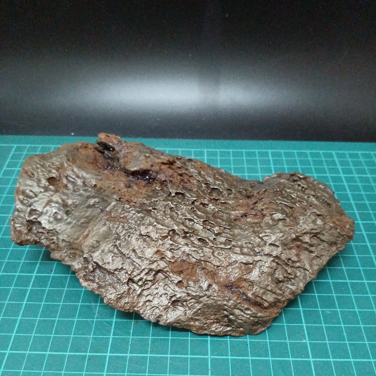 2213 鉄隕石 2429g ドロニノ隕石 ロシア産 (隕石)｜売買された 