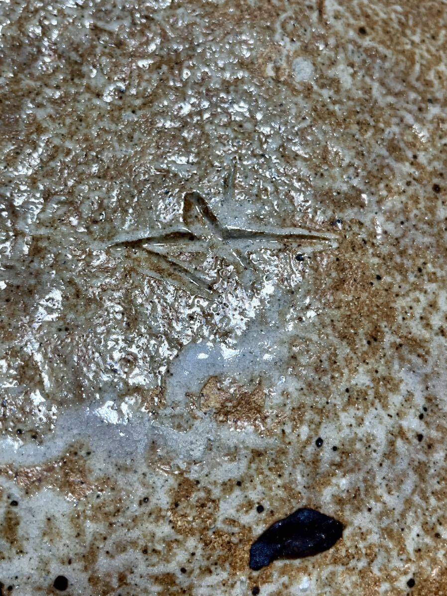 未使用 新品 織部蟹文丸皿 早蕨窯 佐藤和次 蟹 丸皿 和食器 美濃焼