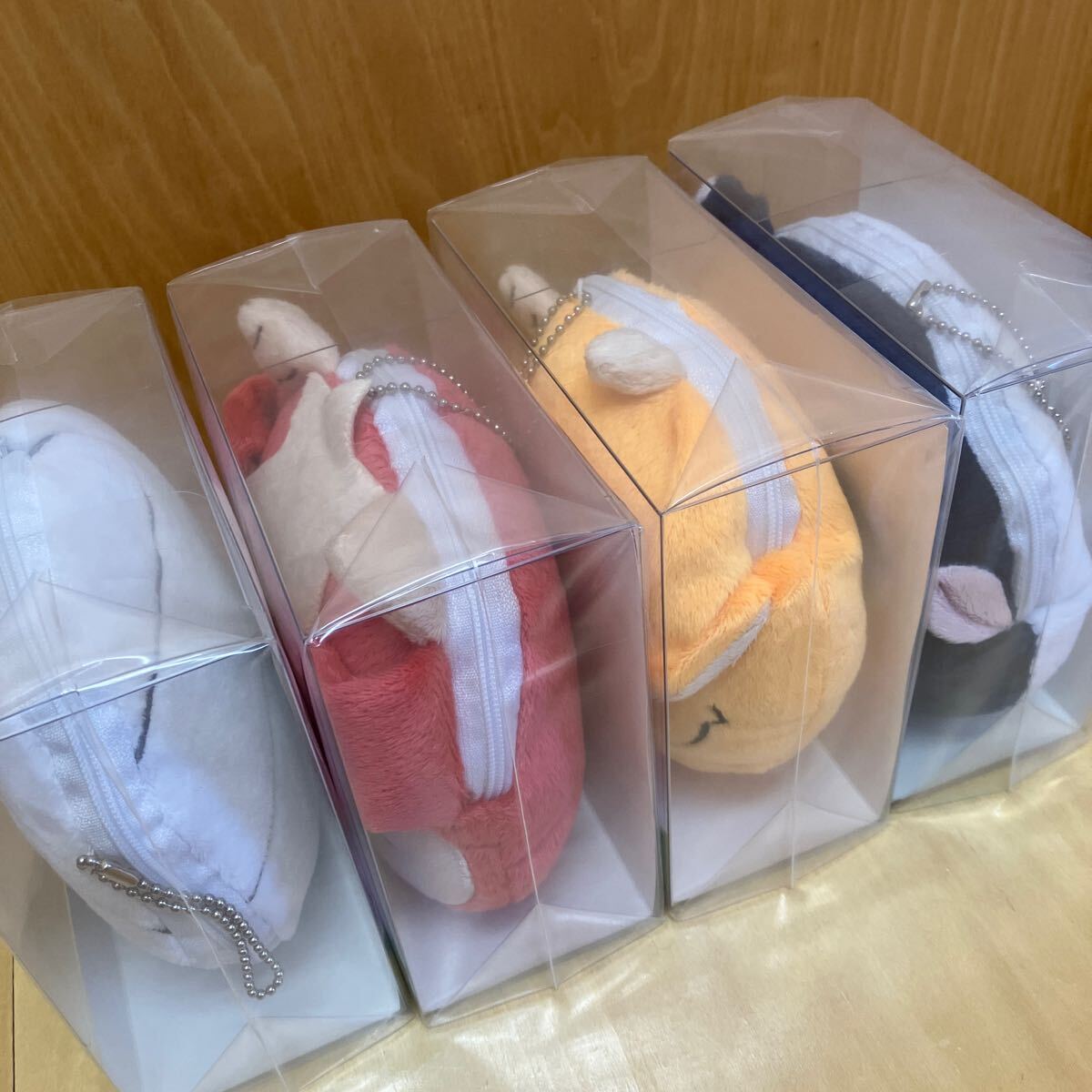 【未開封品】ミイラの飼い方　DVD 全巻_2