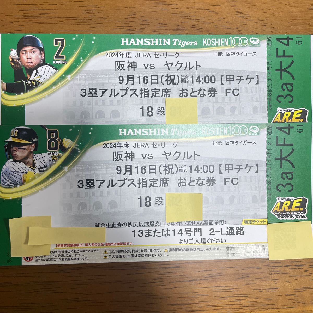 9/16 阪神　vs ヤクルト　甲子園　大人　ペアチケット　通路側　3塁アルプス_1